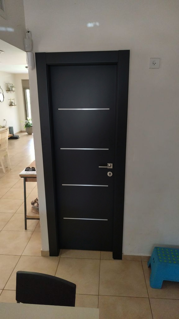 הדמיה: דלת שחורה עם פסי אלומיניום